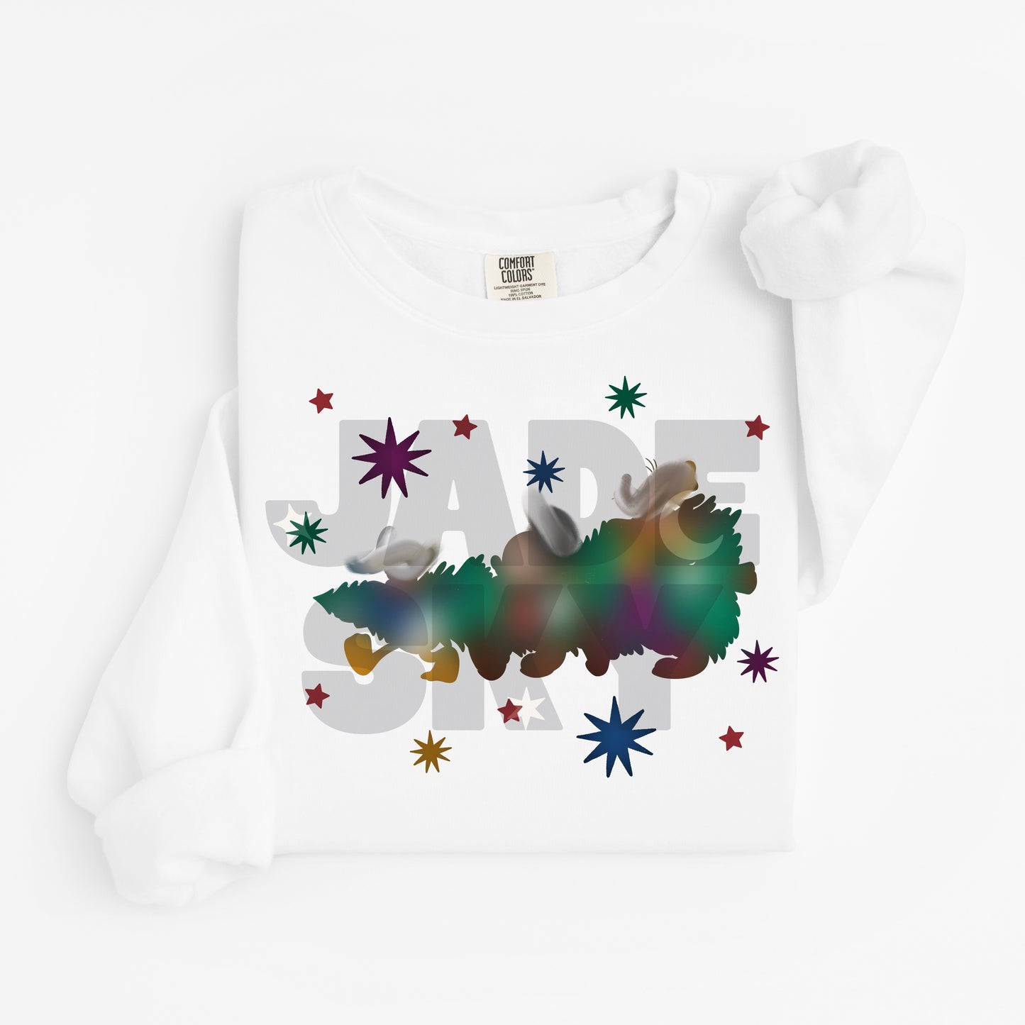 Mouse Pals Christmas Boy PNG